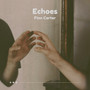 Echoes