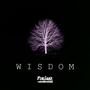 Wisdom (Explicit)