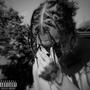 NO SHAME (Explicit)