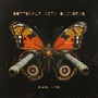 Butterfly with Bazookas (Explicit)