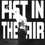 Fist In The Air