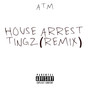 House Arrest Tingz (Remix) [Explicit]