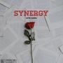 Synergy (Explicit)