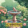 Park Pigeons (feat. Rebel R)