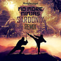 No More Ninjas (Sardonix Remix)