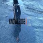 Knowledge (Explicit)