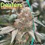 Dealers