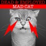 Mad Cat