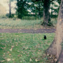 November