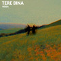 Tere Bina