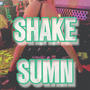 Shake Sumn (Explicit)