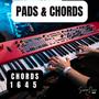 Worship Moments Pads & Chords 1 6 4 5