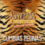 Cumbias Felinas