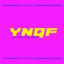 YNQF (feat. Itz Nico P, Miginomics & Medylandia) [The Festival Remix]