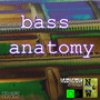 Bass Anatomy