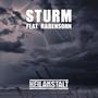 Sturm (feat. Rabensohn) [Explicit]