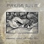 Preámbulo (Explicit)