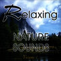 Relaxing Nature Sounds Vol. 1