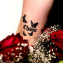 Chaos (Explicit)