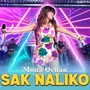 Sak Naliko