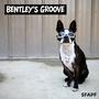 Bentley's Groove