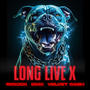 Long Live X (feat. DMX & Velvet Cash)