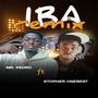 IBA II