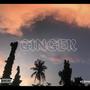 Ginger (feat. J!BBS) [Explicit]