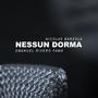 Nessun Dorma (feat. Nicolás Barzola)