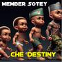 Member Sotey