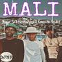 MALI (feat. Nugget Sa, FlashDaspeed & romeo the vocalist)