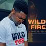 Wild Fire