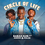 Circle Of Life