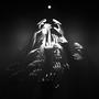 Husk/Complications