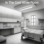 In The Cold White Room