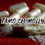 TAMO EN MOLLY (feat. TIGER EL NECIO)