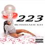 223 (Explicit)