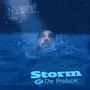 Storm (feat. Insp1red) [Explicit]