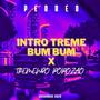 INTRO TREME BUM BUM vs TREMENDO POPOZAO (feat. Leo Rmx)