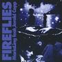 Fireflies (feat. Jerald Copp)