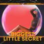 Biggest Little Secret