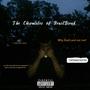 The Chronicles Of Heartbreak (Explicit)