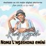 Noma L'ngashona emini