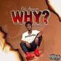 Why (Explicit)