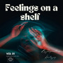 Feelings On A Shelf (Explicit)