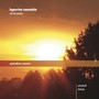 SCHULHOFF, E.: String Sextet / STRAUSS, R.: Metamorphosen (Heinze, Hyperion Ensemble)