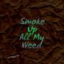 Smoke Up All My ** (feat. TKO Kevo) [Explicit]