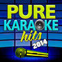 Pure Karaoke Hits 2014