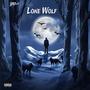 Lone Wolf (Explicit)