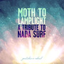 Moth to Lamplight: A Tribute to Nada Surf